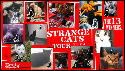 Strange Cats Tour 2023 13 Winners!