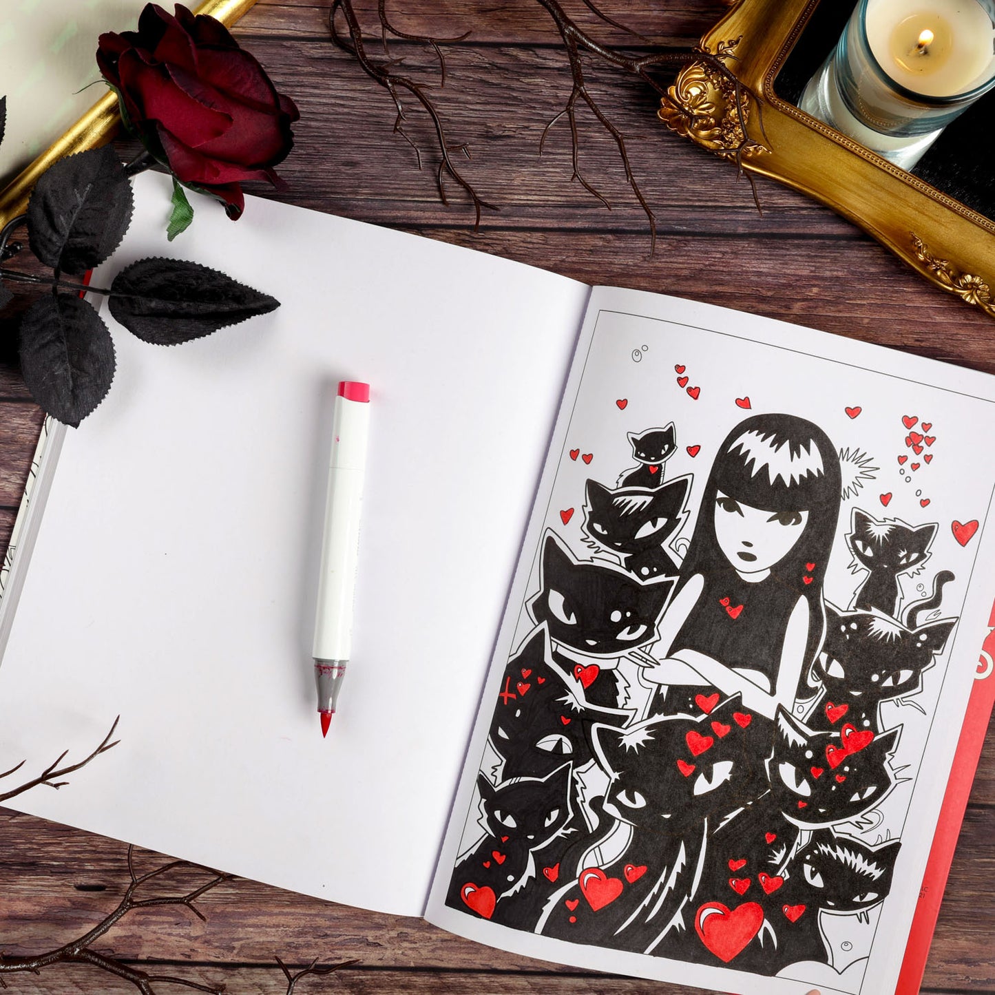 Emily the Strange Coloring Book